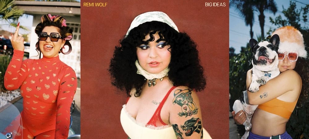 Collage of Remi Wolf in a red bodysuit wearing sunglasses and hair rollers, flipping off the camera; the album art for Big Ideas; and Wolf in an orange crop top with a big fuzzy hat, cradling a large French bulldog and wearing large sunglasses with sparkly frames.