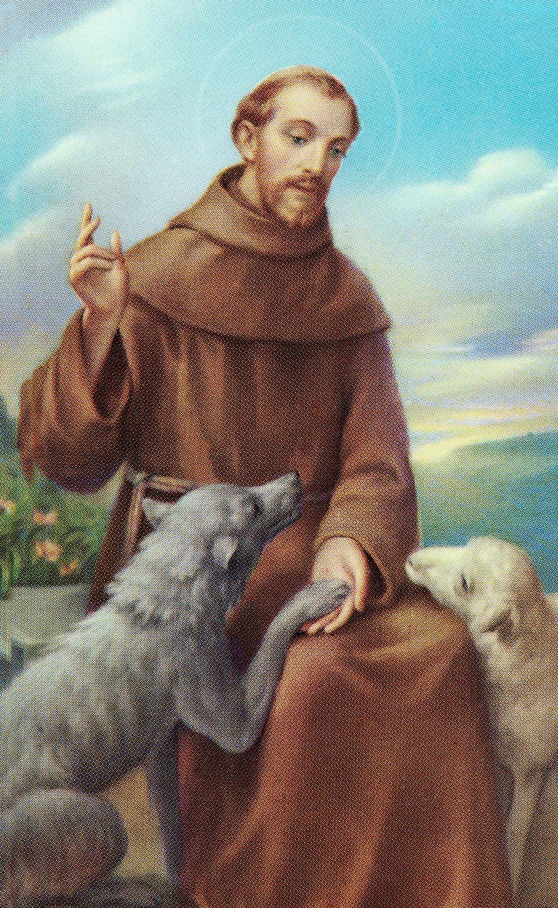 Leonardo, The Good Place, and St. Francis of Assisi